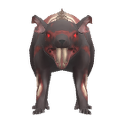 Rat