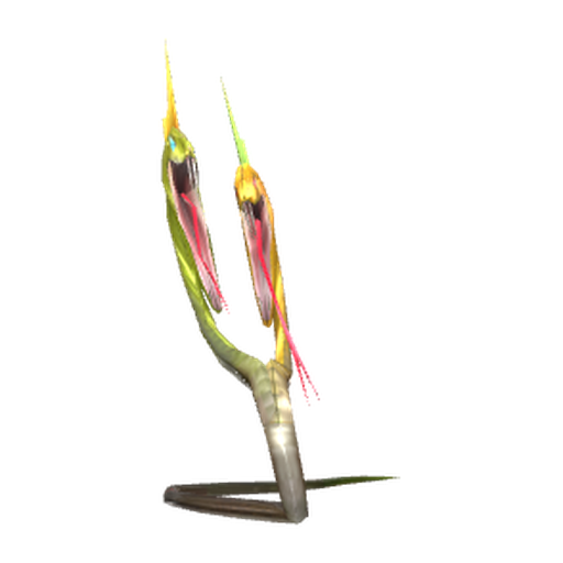Two-Headed Snake
