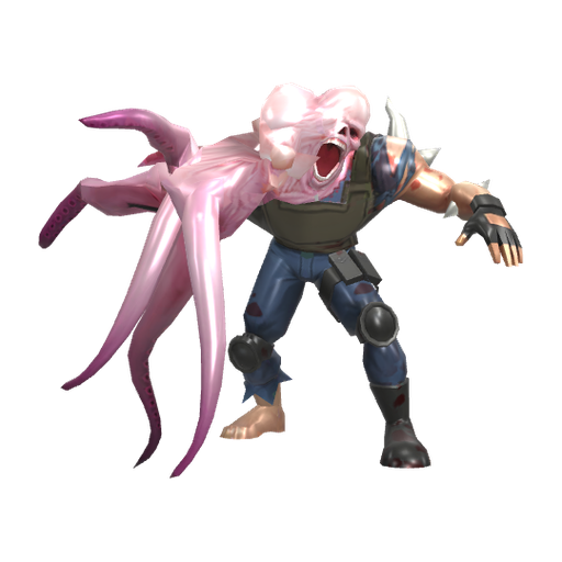 Octopus