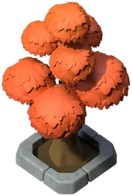 Maple Tree