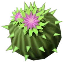 Cactus Ball