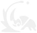 الرتبة 1