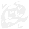 الرتبة 3