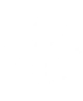 Elektromagie