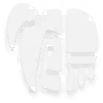 الدمار السريع