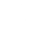 Bruiser
